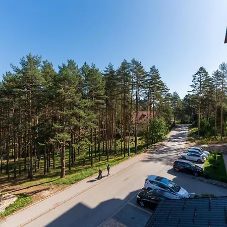 Mount Ostojic Apartament